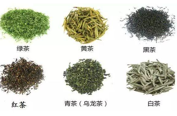 中国六大茶系指哪些?它们的特点都有哪些?