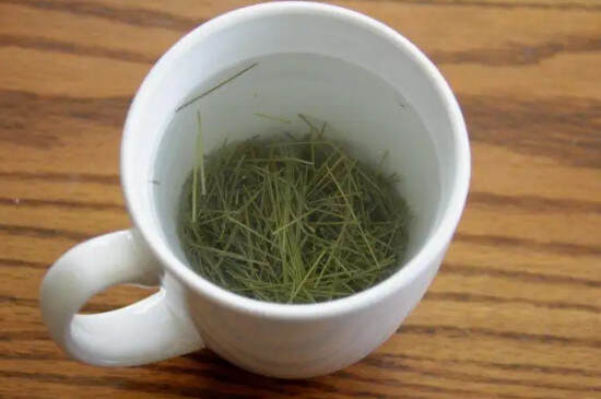 松针茶是红茶还是绿松针属于红茶还是绿茶？