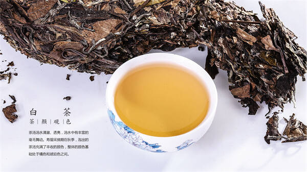 白茶可帮助消化（白茶内含的小分子咖啡碱可以中和人体的胃酸