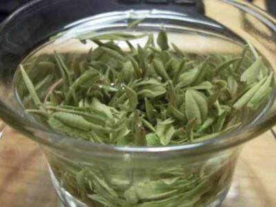 溧阳白茶属于什么茶 溧阳白茶的功效与作用