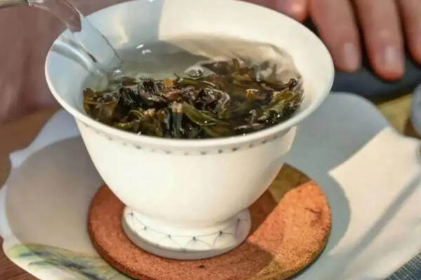 白芽奇兰是红茶还是绿茶，白芽奇兰茶是什么茶？