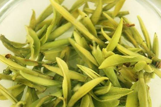广元黄茶是什么广元黄茶产品介绍