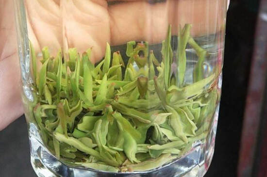 长寿的秘诀喝绿研究称喝绿茶比红茶长寿