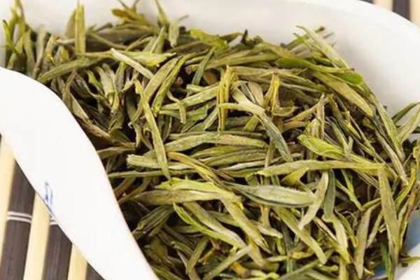 霍山黄芽属于什么霍山黄芽是绿茶吗