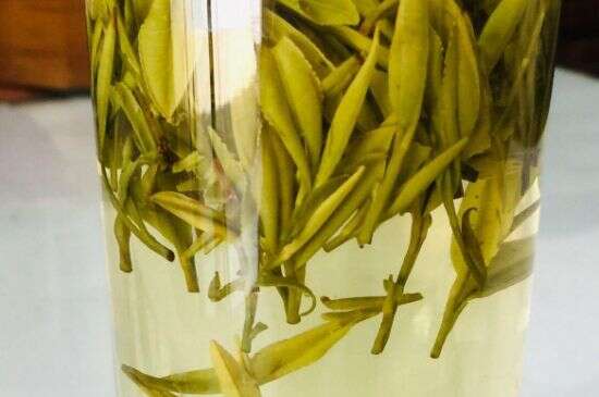 十大黄黄茶品种排名前十名