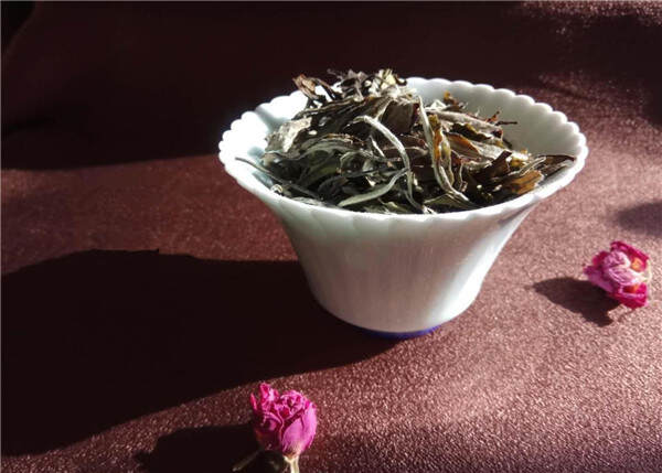 白茶中有位“花仙”名为白牡丹（一款如花般的白茶）