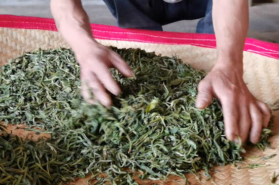 青茶的制作工艺流程