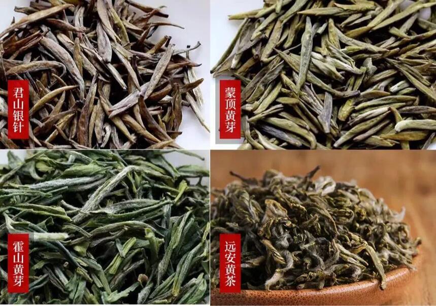 黄茶的品种有哪些！