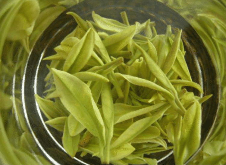 安吉白茶是什么地方生产的？详细介绍安吉白茶的产地及起源？