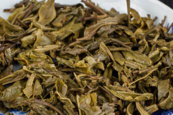 沱茶是普洱茶吗？沱茶是普洱茶的一种吗？