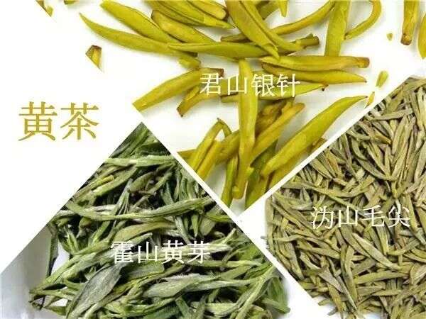 黄茶有哪些品种？黄茶的特点是什么？