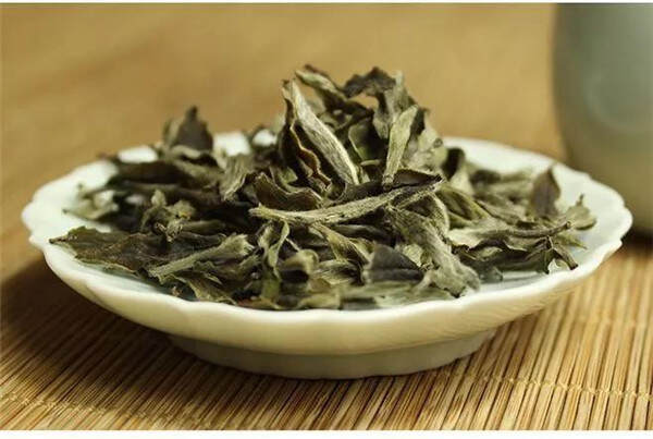 科学家发现白茶有防止皮肤细胞老化和氧化的作用