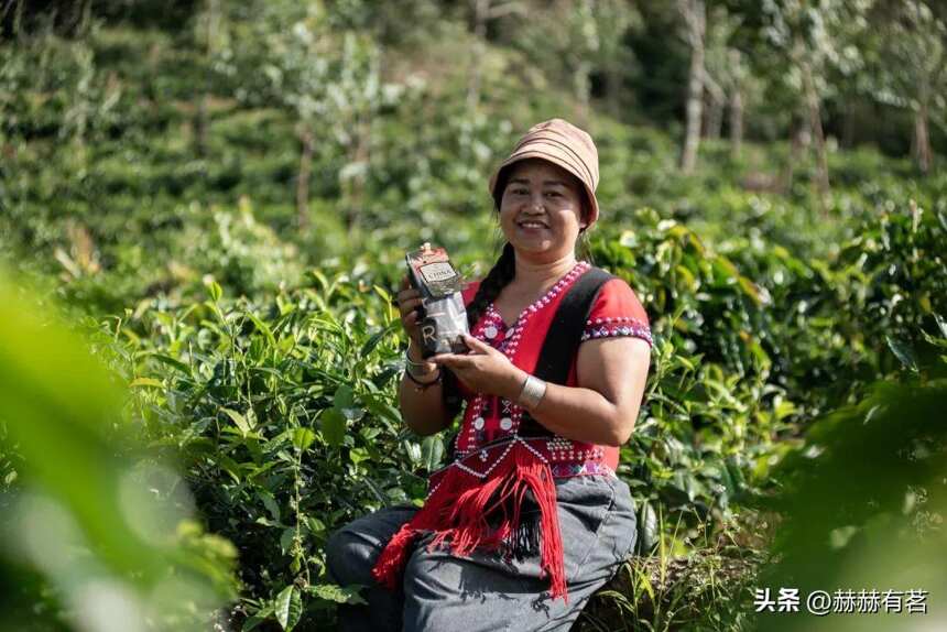 星巴克花 10 年做云南咖啡，咖啡在中国落地生花（下）