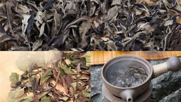 荒野牡丹王白茶（值得分享的好茶）