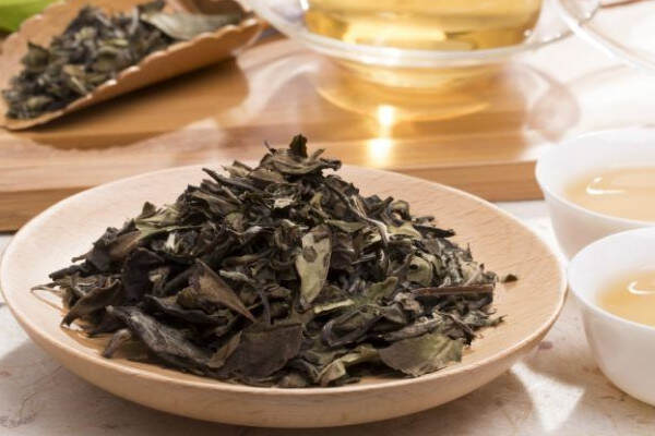 白茶属于红茶还是绿白茶产地是哪里最好