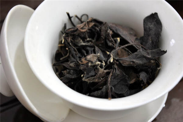 白茶好不好关键看原料,什么样的茶青才能做出高品质的白茶