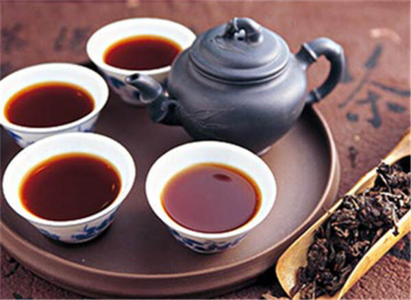 不同类型的黑茶之间,香气口感滋味有什么不同?