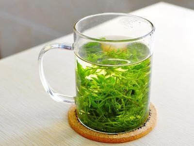【茶功效】绞股蓝茶的功效与作用 喝绞股蓝茶的好处