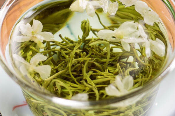 茉莉花茶是绿茶吗？茉莉花茶属于什么茶？