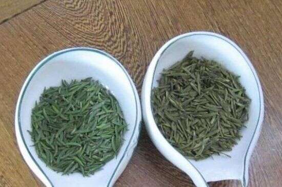 绿茶陈茶和新茶区别_绿茶怎样区分新茶和陈茶