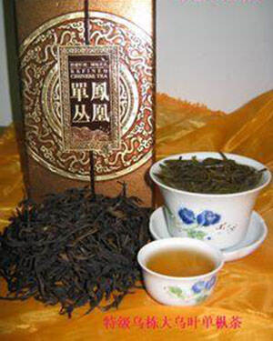 乌龙茶凤凰单枞茶作用