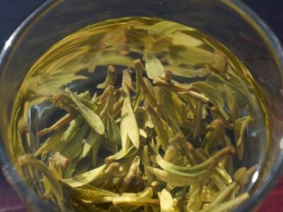 安吉白茶的功效与作用，简单概括安吉白茶功效