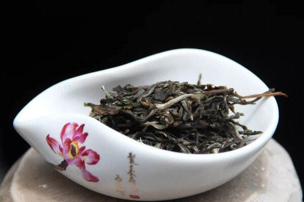 生普洱茶和熟普洱茶的区别_生普洱和熟普洱用什么茶叶