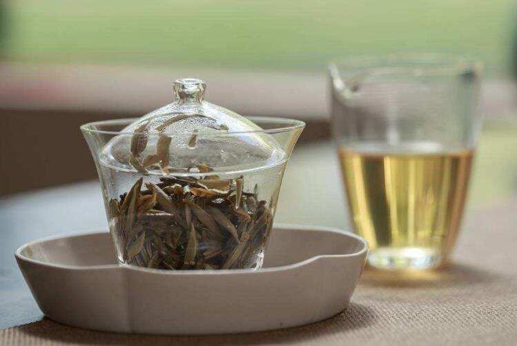 白茶怎么泡好喝？泡白茶的四种正确方法