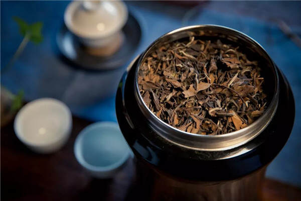 白茶越来越火,如何鉴别老白茶的好坏与真假?