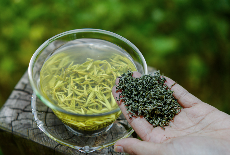 四川毛尖属于绿茶吗
