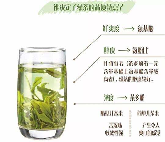 什么绿茶口味重口感浓郁_味道浓郁的绿茶哪种？