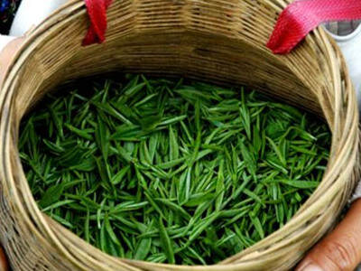 【茶功效】绿杨春茶叶是什么茶 绿杨春茶有什么功效