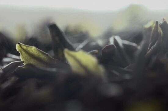 《茶 一片树叶的故事：龙行十八式》P3