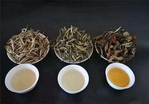 白茶的萎凋在白茶中起什么作用?