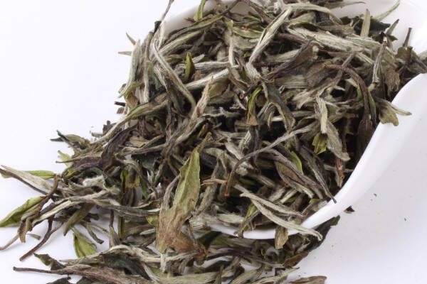福鼎白茶属于什么福鼎白茶属于绿茶还是红茶