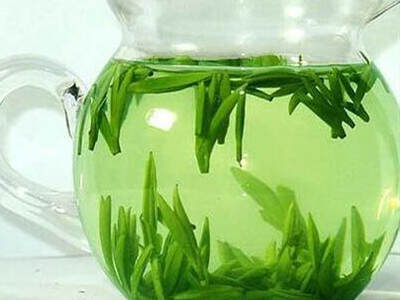 【茶功效】竹叶青绿茶有哪些好处与功效