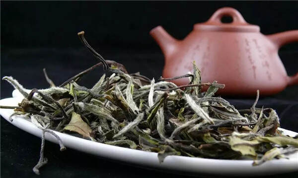 白茶掀起收藏热 收藏投资应理性