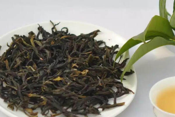 凤凰单枞属于什么类型_凤凰山单丛茶是什么品种茶