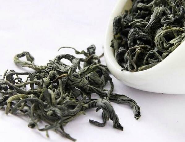 屯溪绿茶是什么茶
