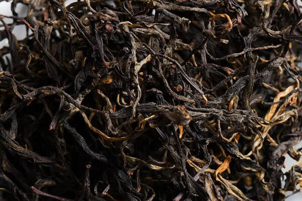 野生红茶的种类_野生红茶有哪些品种