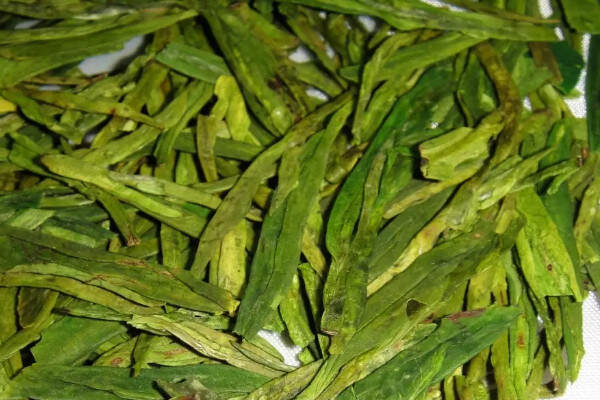 杭州龙井是绿茶吗？杭州龙井属于什么茶？