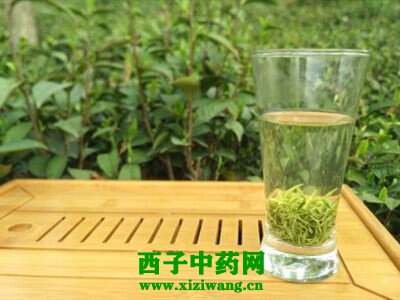 【茶功效】毛尖绿茶的功效与作用 毛尖绿茶多少钱一斤