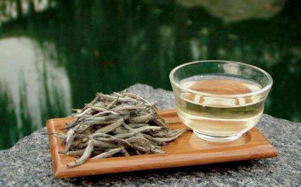 白茶什么季节喝好？喝白茶有什么好处？