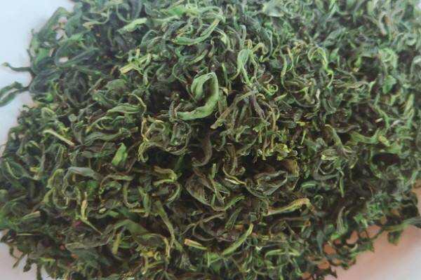 毛峰是什么茶？绿茶
