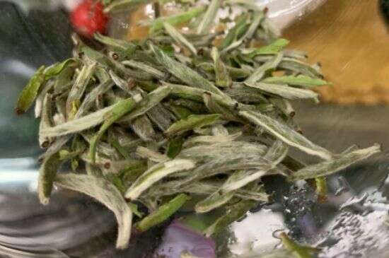 蒸汽煮茶器适合什么蒸汽煮茶器适合用绿茶吗？