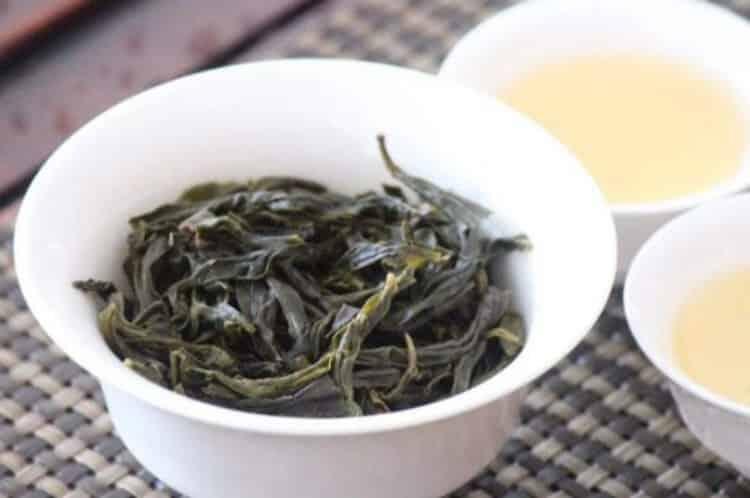 #茶叶知识#凤凰水仙茶叶的加工流程