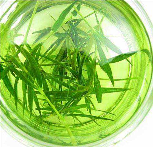 【茶功效】竹子叶可以当茶喝吗 竹子茶的功效与作用
