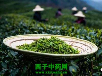 【茶功效】龙井是什么茶 喝龙井的好处介绍