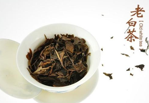 福建白茶有哪些功效与作用？具有退热祛暑解毒之功效