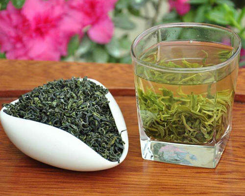 【茶功效】日照绿茶的功效与作用 喝日照绿茶的好处